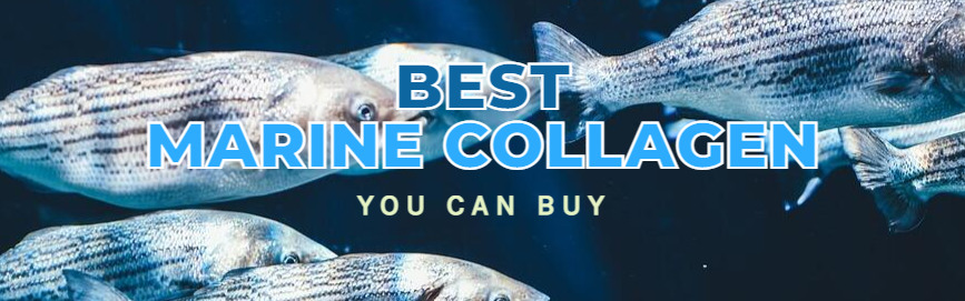 Best Marine Collagen Supplements