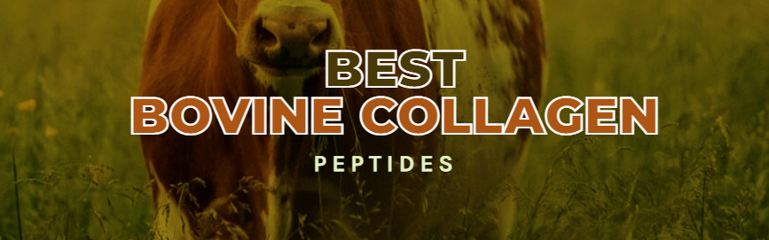 Best bovine collagen peptides