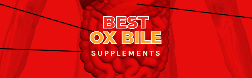 Best Ox Bile Supplements